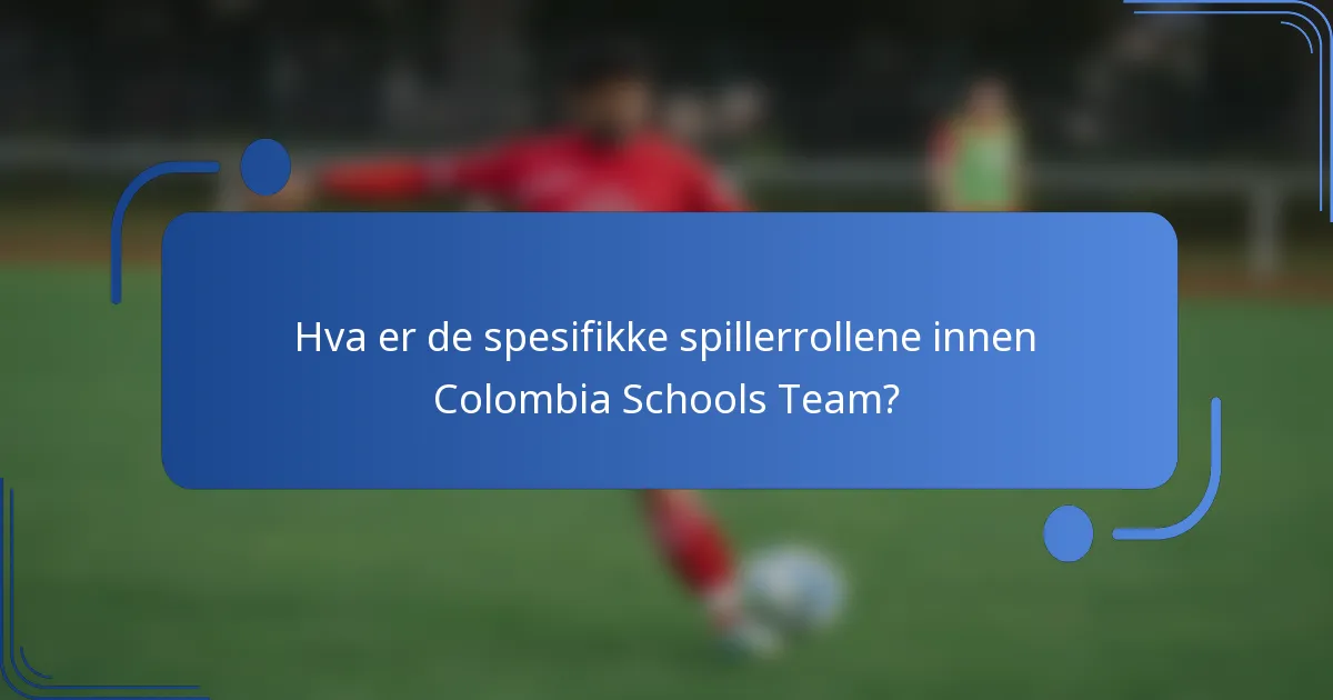 Hva er de spesifikke spillerrollene innen Colombia Schools Team?